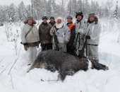 Клавдино. Охота в Вологодской области